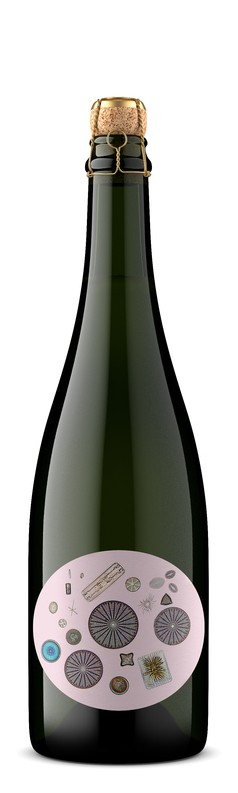 2016 Blanc de Noirs Sparkling